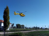 IMAG5896
