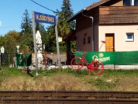 IMAG5941