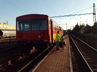 IMAG5955