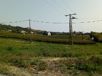 IMAG6030