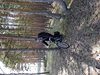 20170525_153946