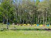 20170526_092950