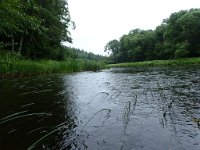 P7290024
