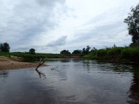 P7290131