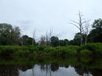 P7290182