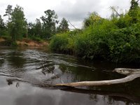 P7300301