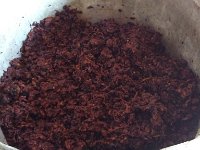 aasamtredia