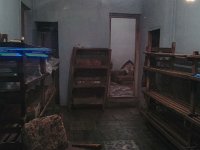 borjomi (10)