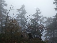 borjomi (11)