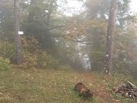 borjomi (12)