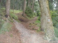 borjomi (18)