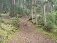 borjomi (20)