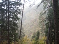 borjomi (26)