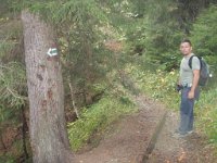 borjomi (27)