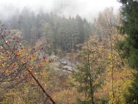 borjomi (29)