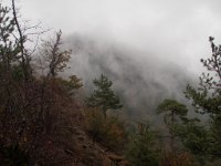 borjomi (33)