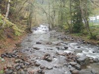 borjomi (51)