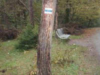 borjomi (52)