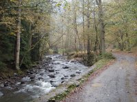 borjomi (53)
