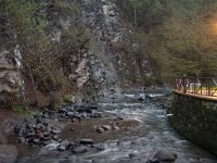 borjomi (61)