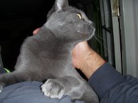 borjomi (64)