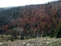goderdzi (1)