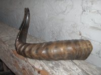 kvareli (49)