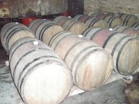 kvareli (53)