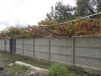 kvareli (71)
