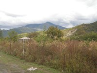 kvareli (73)