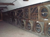 kvareli (96)