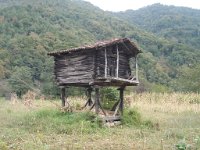 mirveti (13)