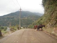 mirveti (35)