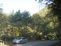 sairme (33)