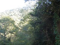 sairme (34)