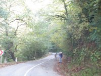 sairme (35)