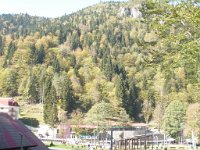 sairme (44)