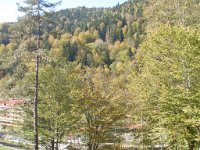 sairme (47)