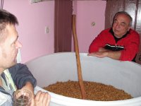 telavi (16)