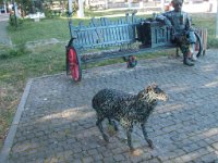 telavi (19)