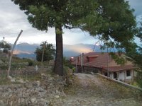 telavi (8)