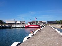 DSC 1584