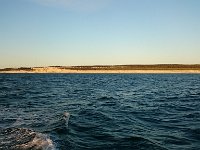DSC 1611