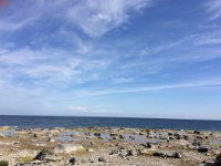IMG 4625
