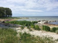 IMG 4782