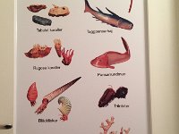 IMG 4805