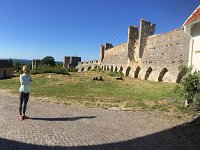 IMG 4827