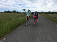 IMG 4981