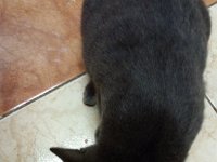 IMAG6228