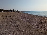 IMAG6241